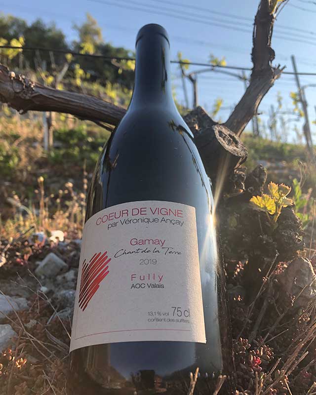 Gamay2019