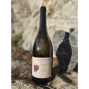 Bouteille de vin blanc petite arvine 2023 coeur de vigne fully