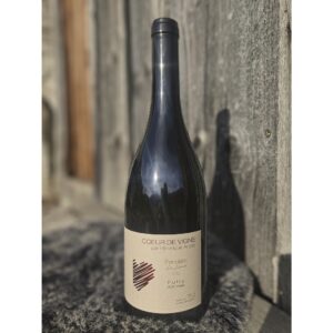 Bouteille de vin blanc Fendant 2021 Bio Suisse coeur de vigne fully