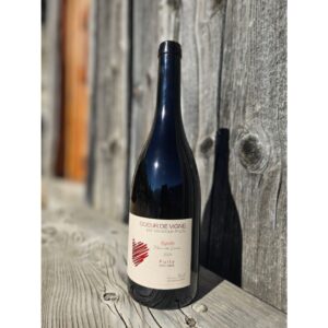 Bouteille de Syrah 2024 vin rouge coeur de vigne Fully Valais